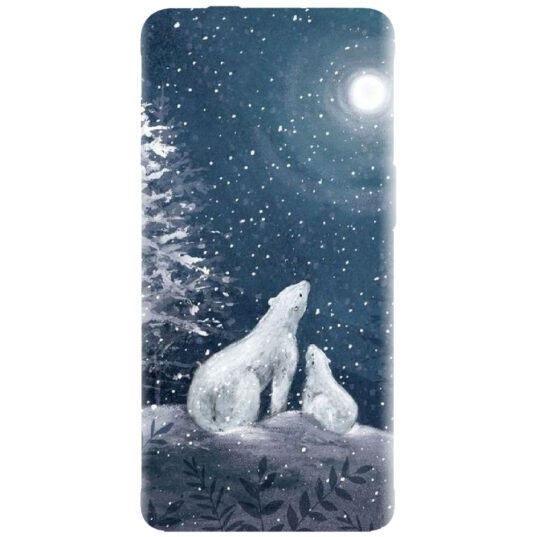 Husa de craciun personalizata