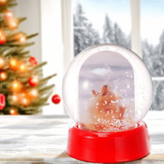 glob sfera de zapada personalizat