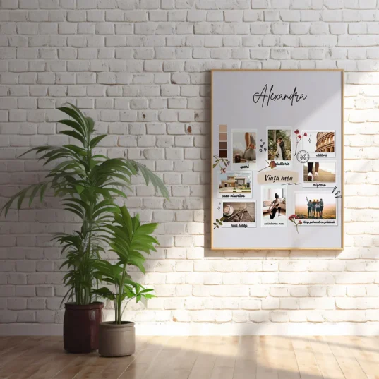 tablou personalizat Viata mea