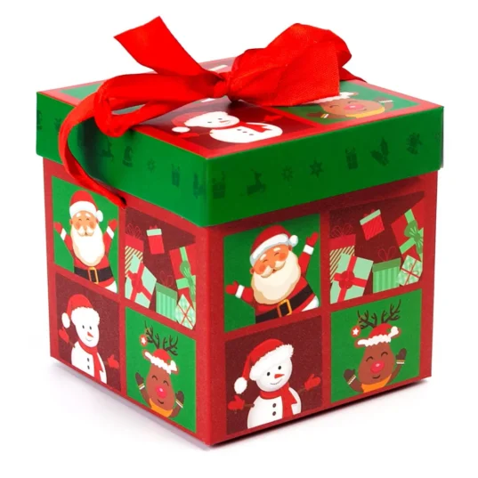 Cutie cadou Craciun pentru Cani