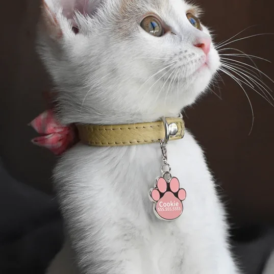 pandativ personalizat pentru animal de companie